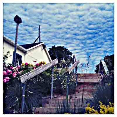 mill-garden-stairs