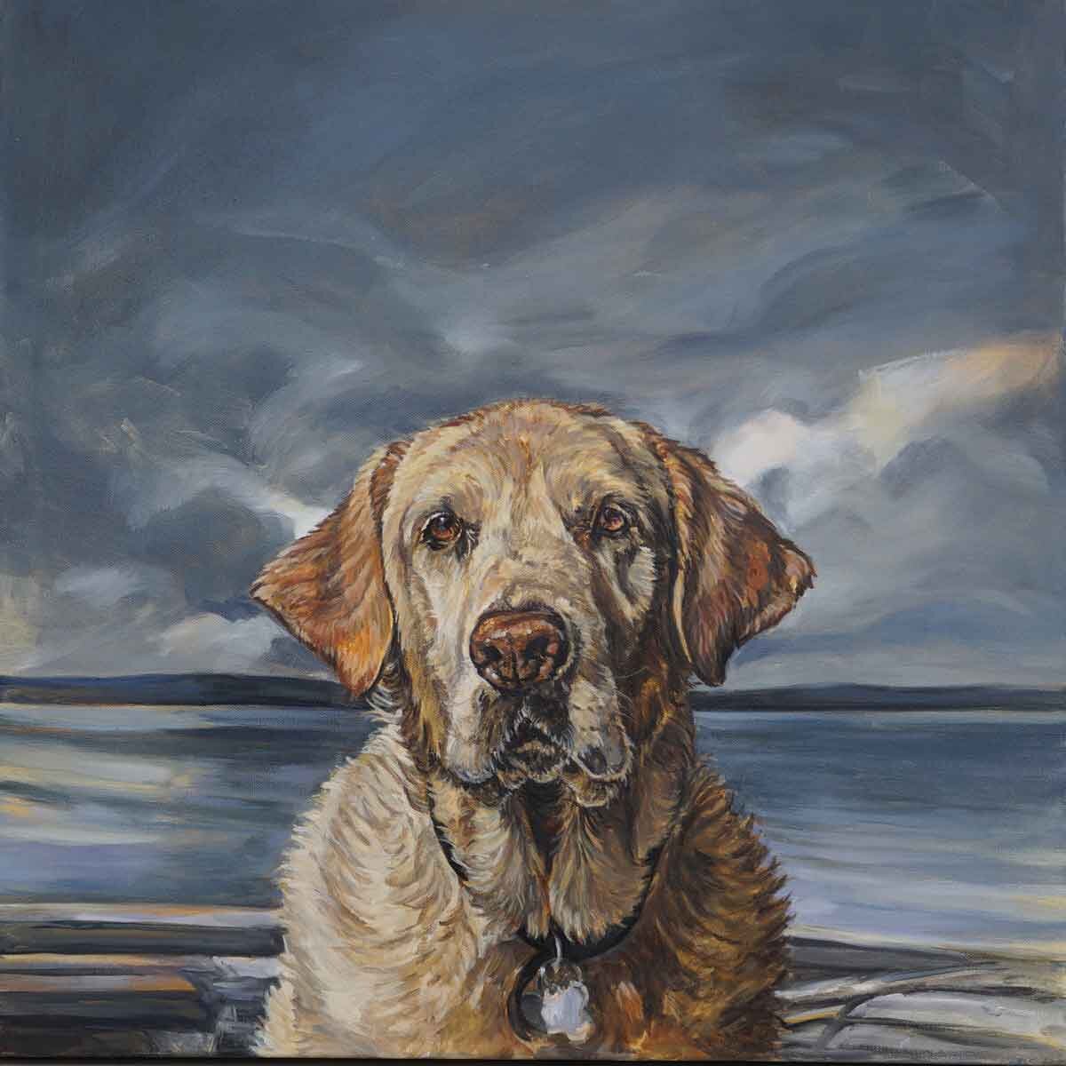 Dog Portrait