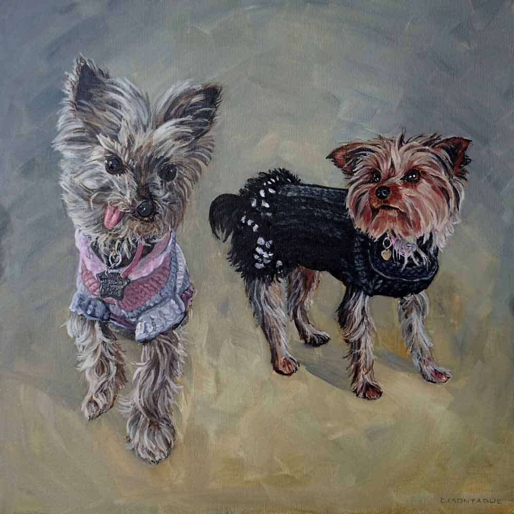Portrait of Two Yorkshire Terriers in Sweaters