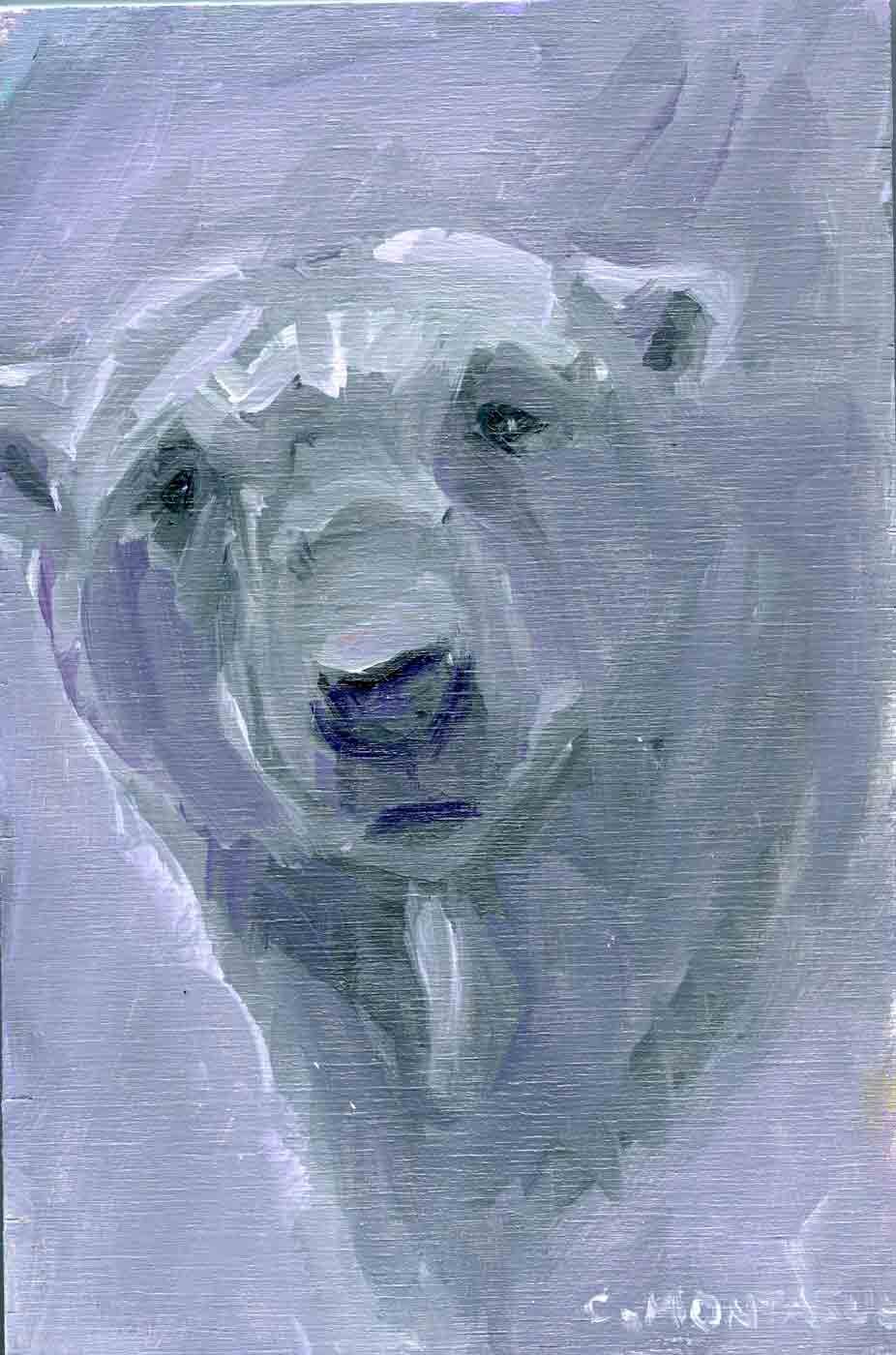 SOLD. Grey Bear 