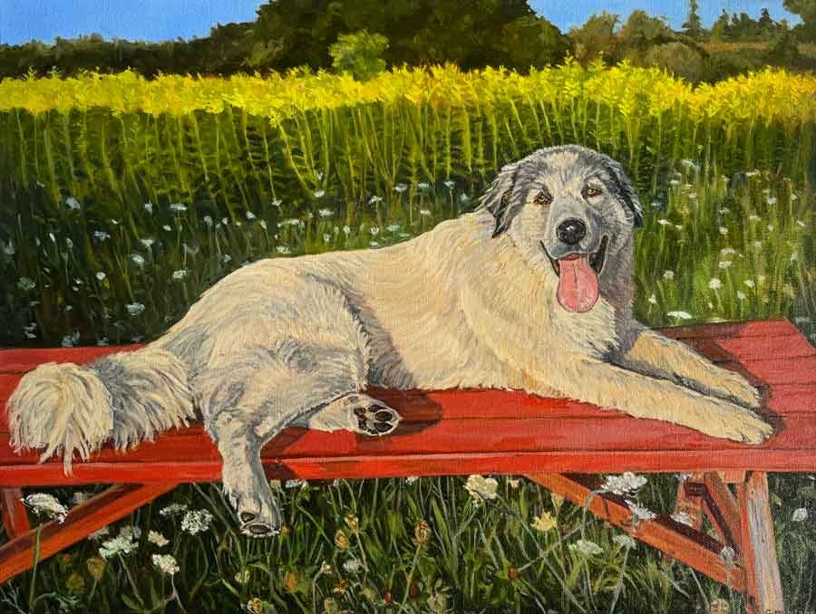 Portrait of a Farm Dog