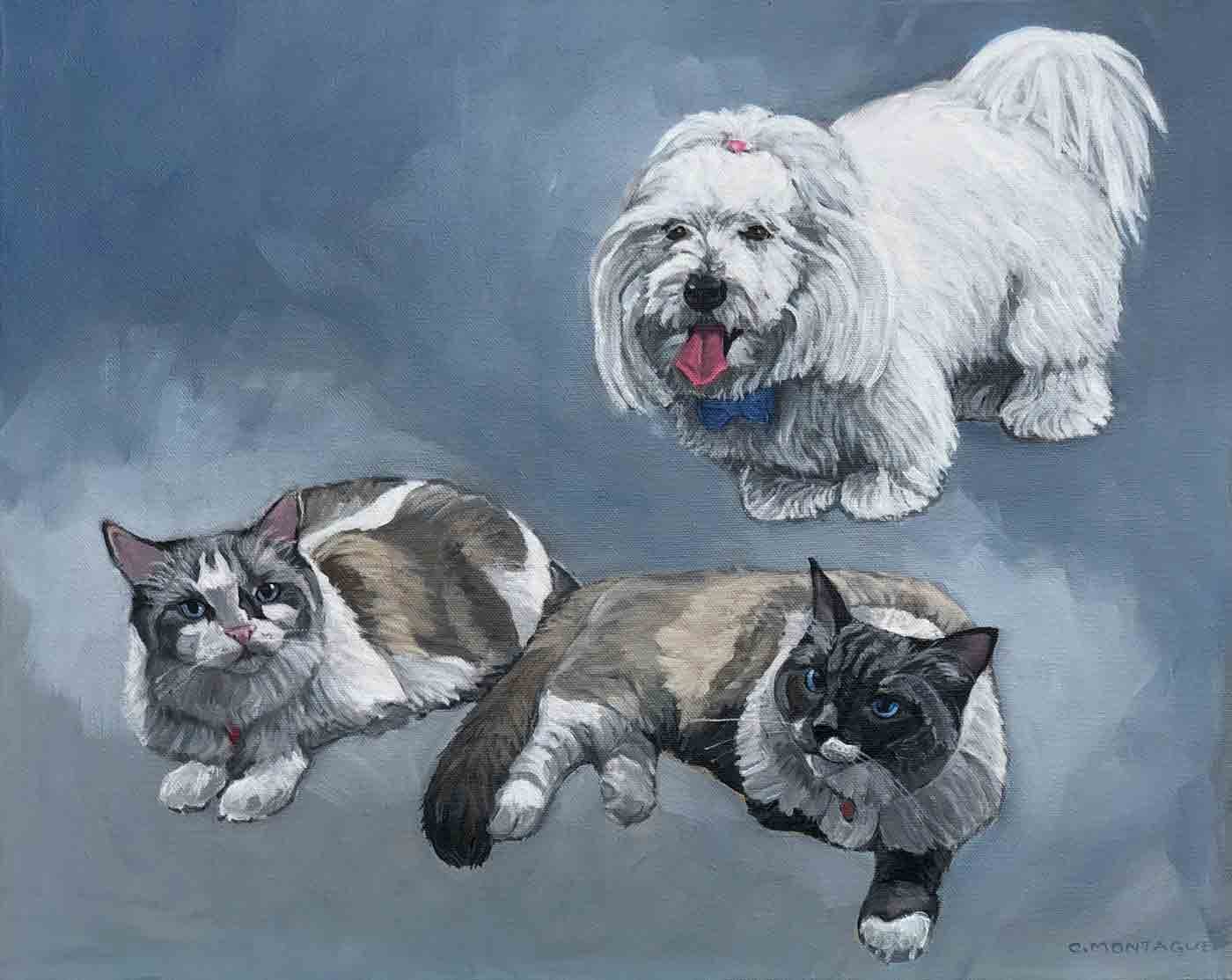 SOLD. Commission Ragdoll cats and Dog