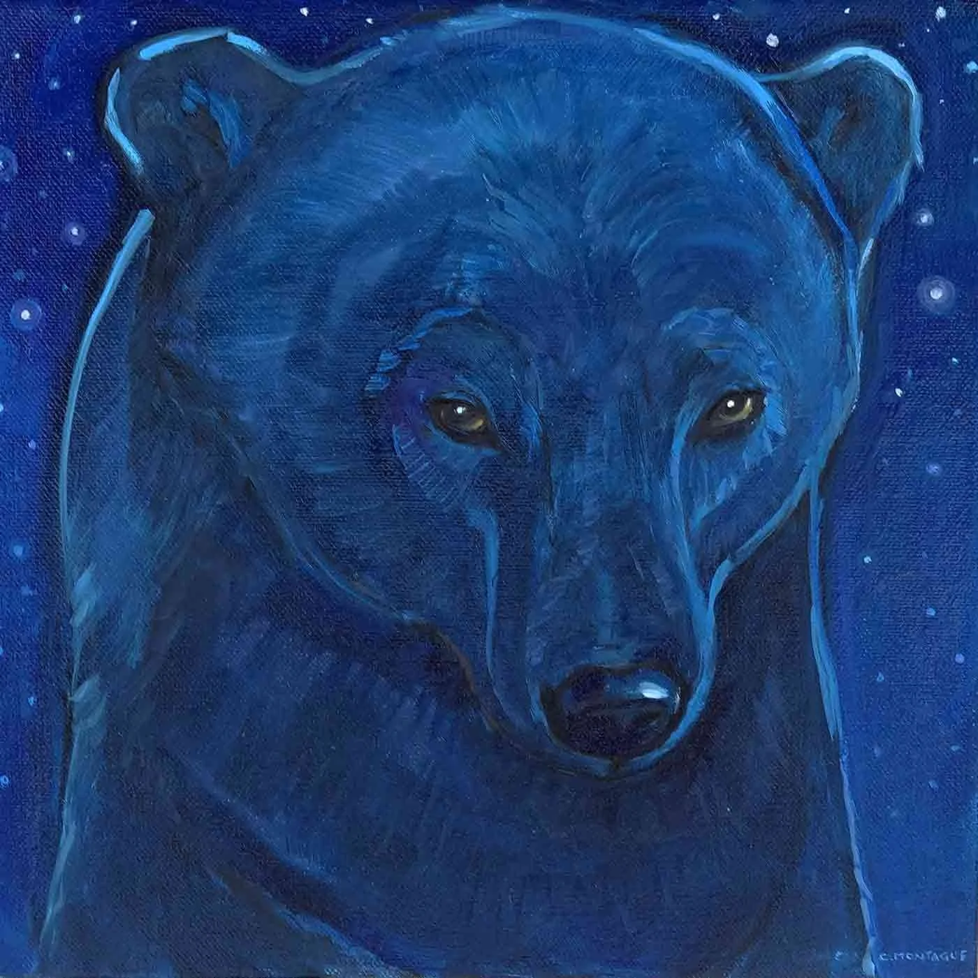 i-have-loved-the-stars-too-fondly-to-be-fearful-of-the0night.jpg