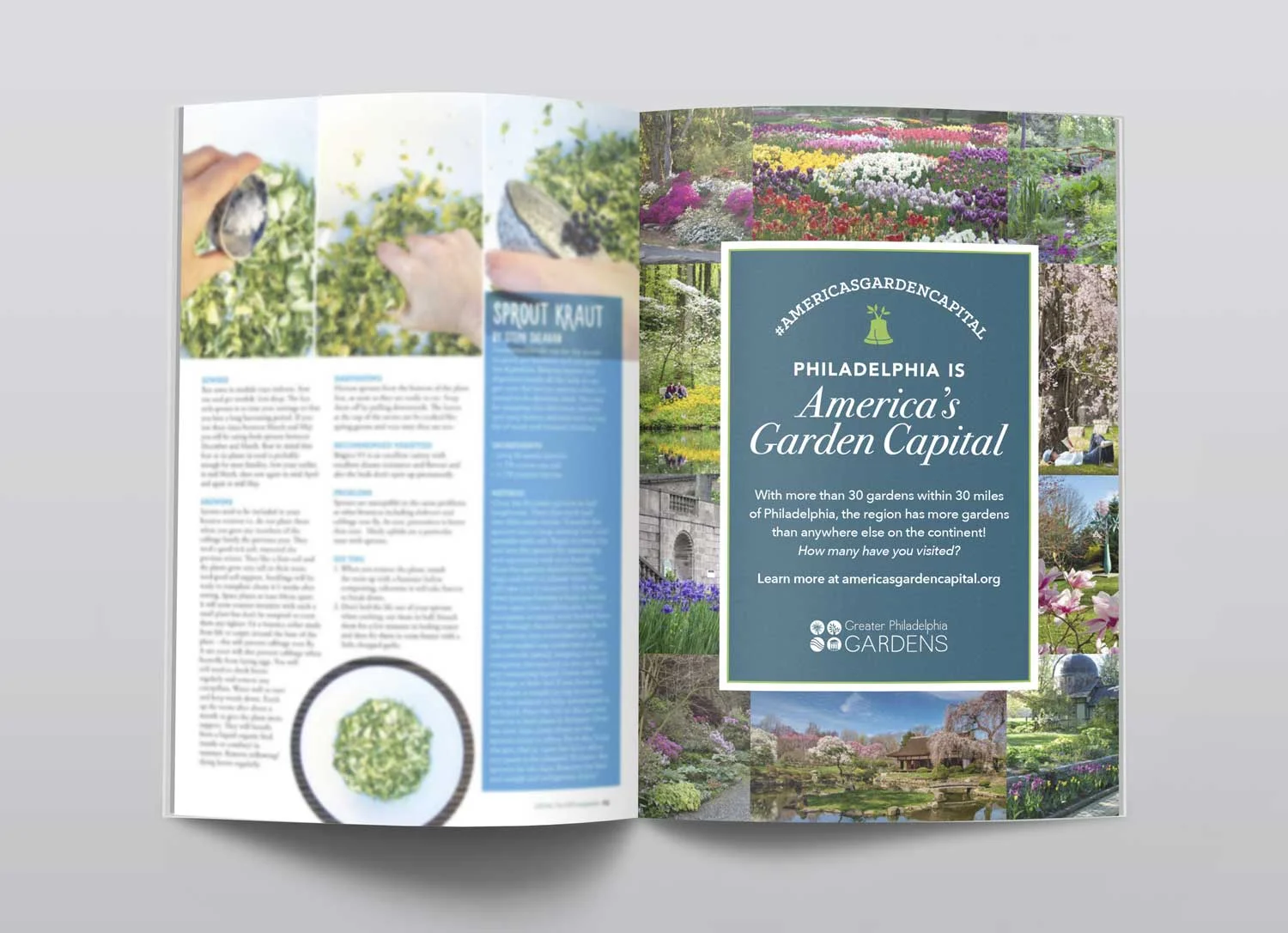 Print advertisements
