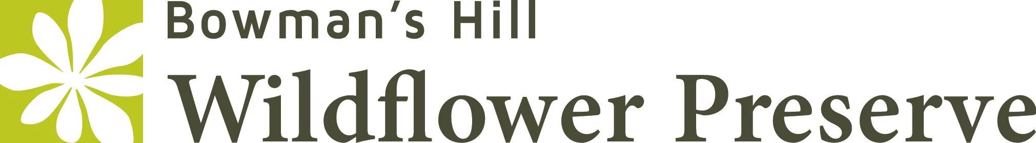 New Logo