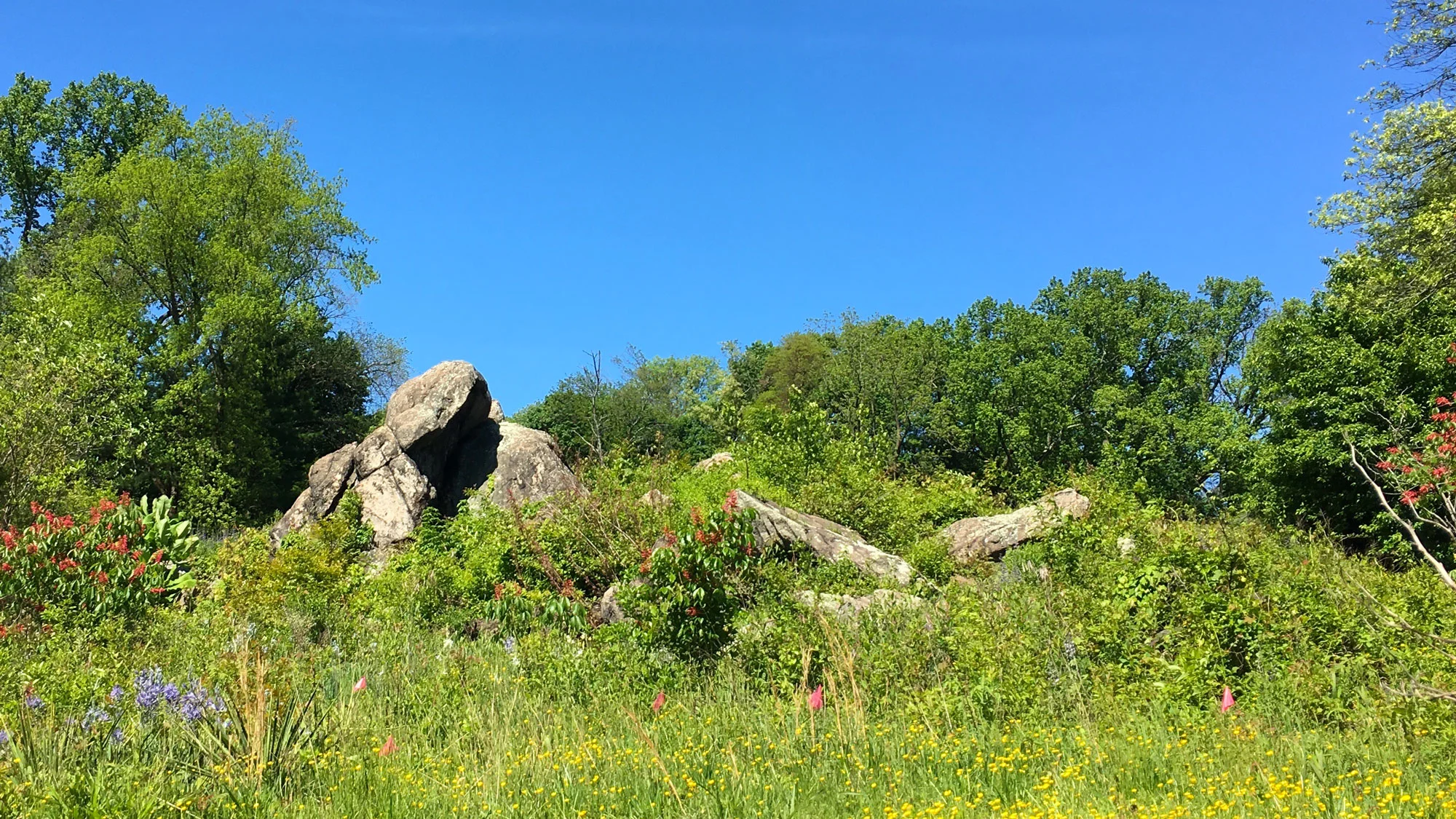 banner-homepage-alt.jpg