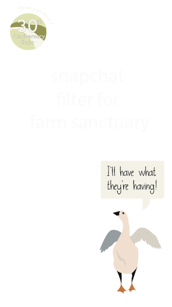 Screen Shot 2016-11-11 at 12.18.30 PM.png