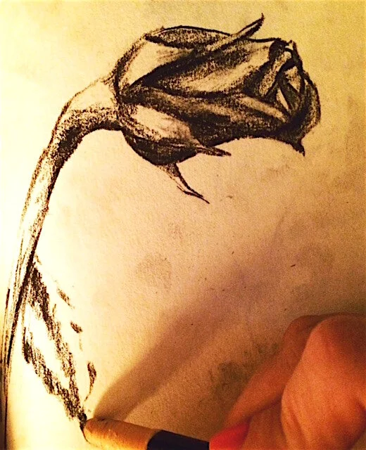 rose sketch.JPG