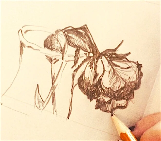 dying rose sketch.JPG