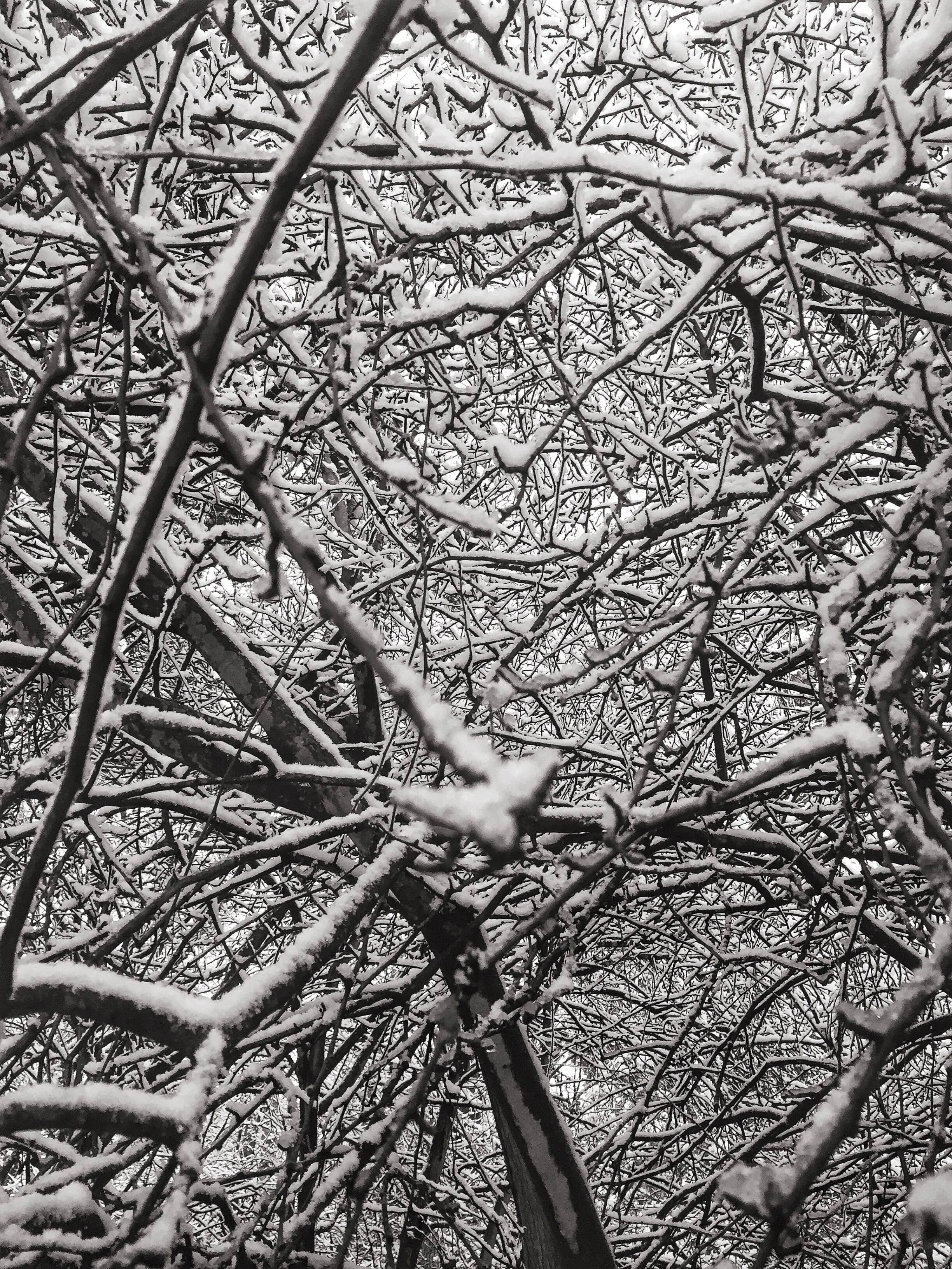 A snowy day with snowhere to go..