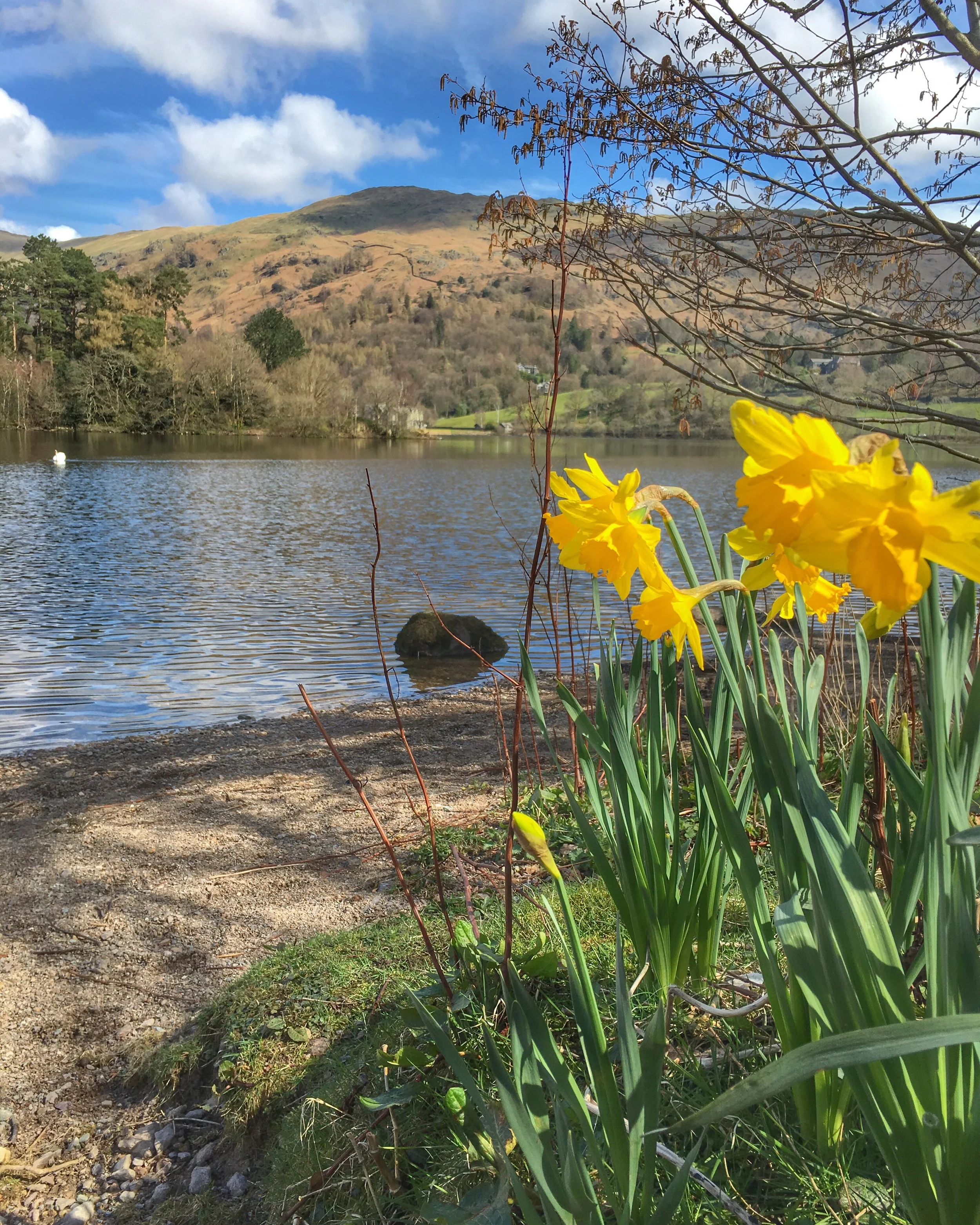 Beyond the lake beneath the trees...