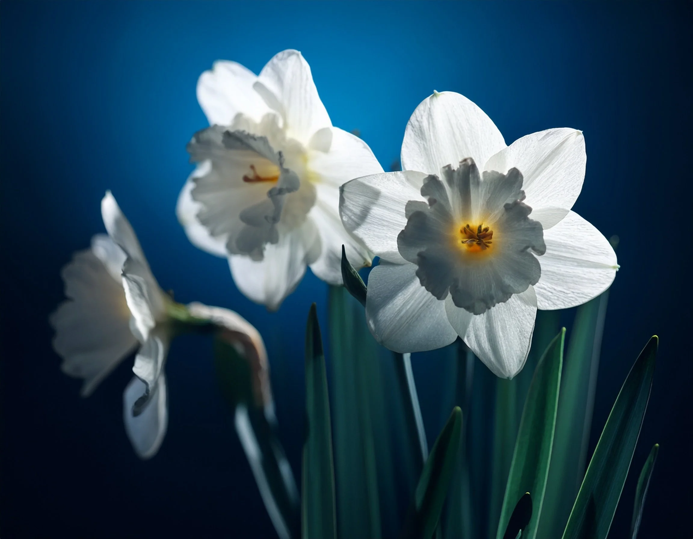 Sunday, March 8, 2026 - Worship Service  