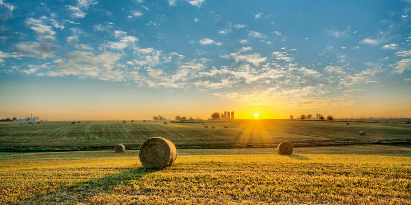 Iowa-Landscape-.jpg