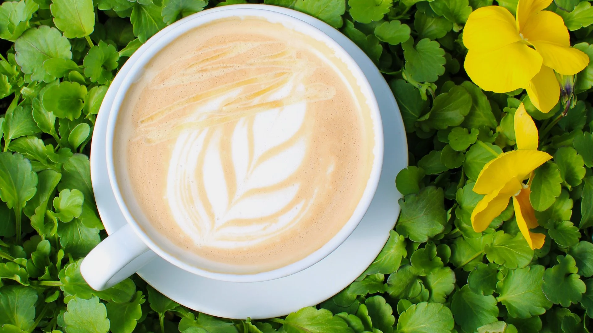 Joplin Greenhouse & The Coffee Shop