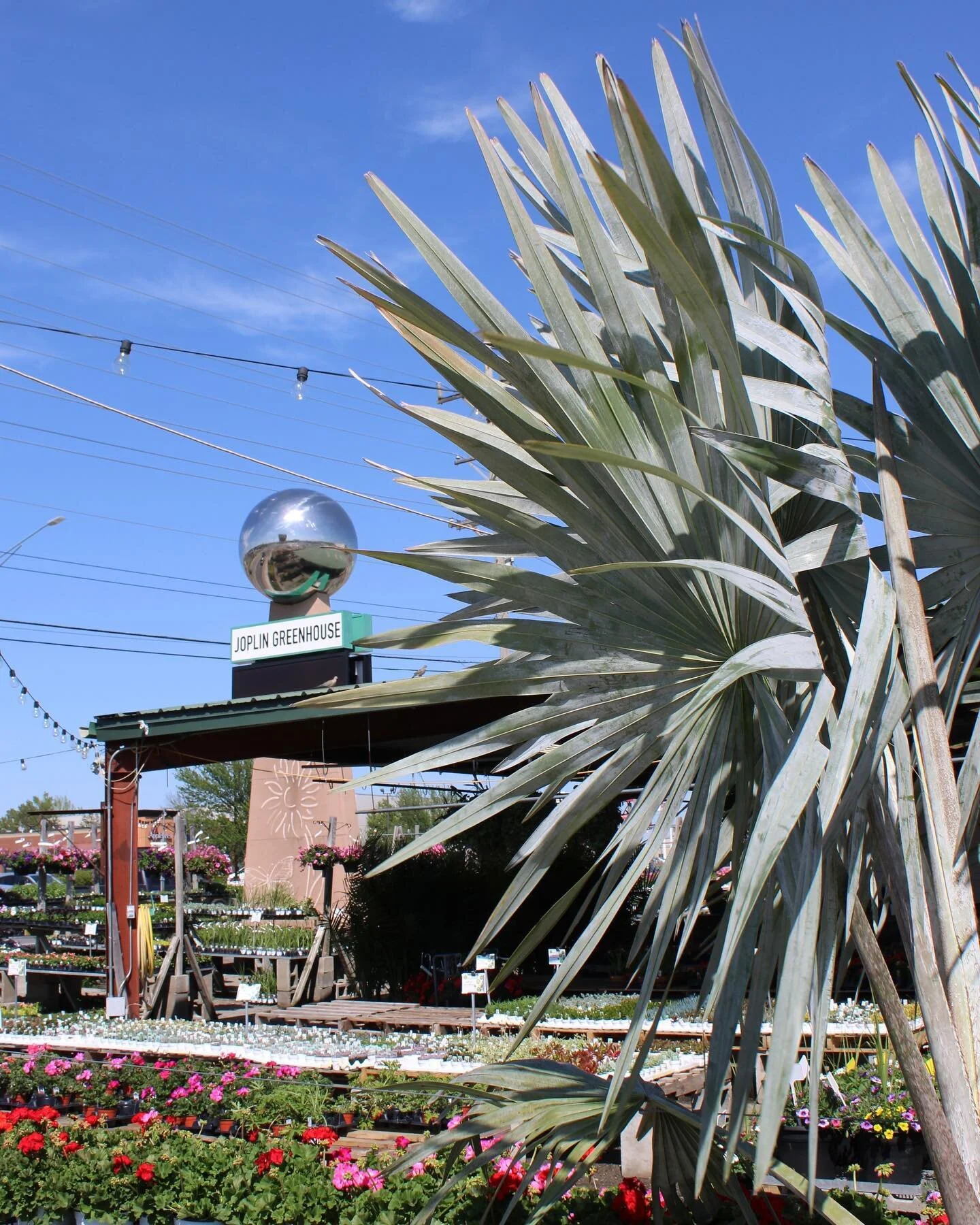 The Coffee Shop Menu — Joplin Greenhouse & The Coffee Shop