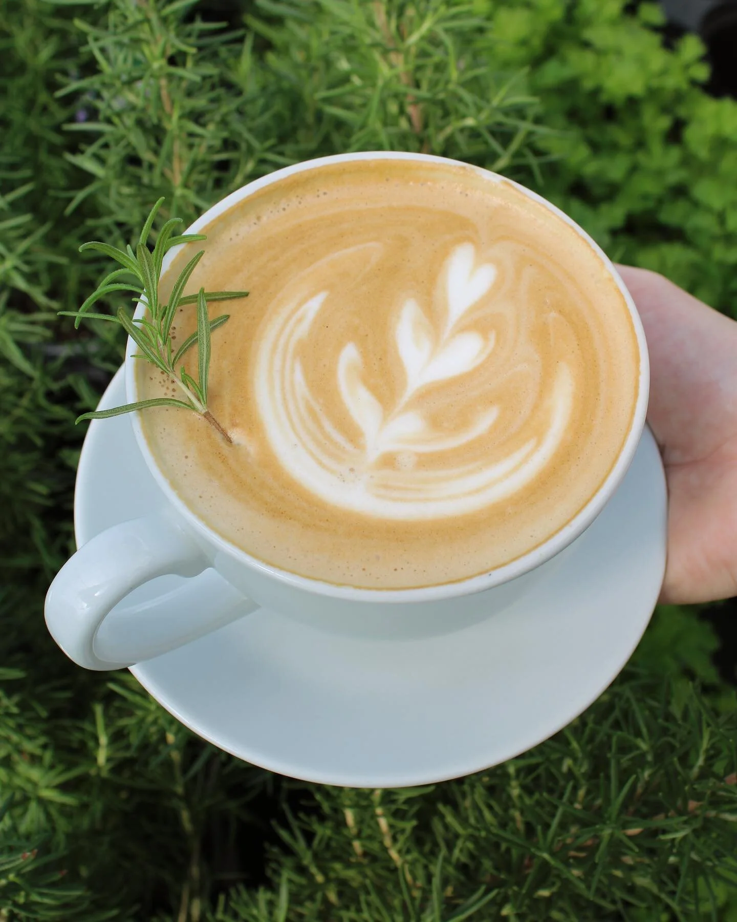 The Coffee Shop Menu — Joplin Greenhouse & The Coffee Shop