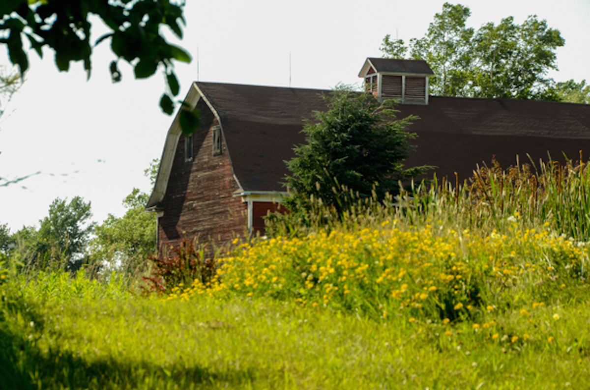 Lake Superior Farms