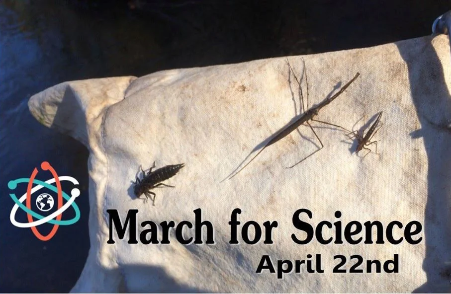 march for science.jpg