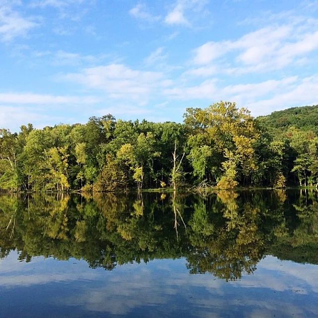 Radnor Lake