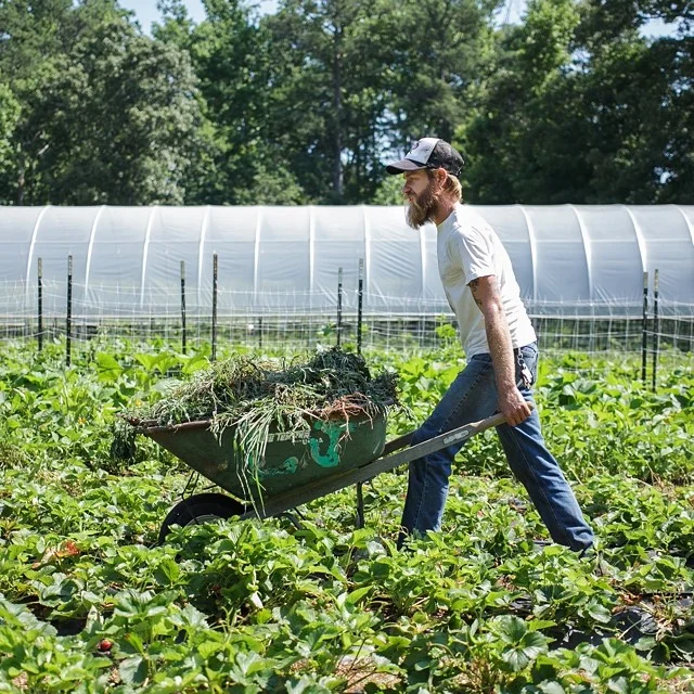 Love is Love Farms at Gaia Gardens @loveislovefarm