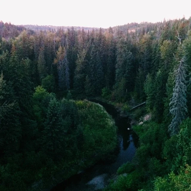 Whitemud Park & Ravine