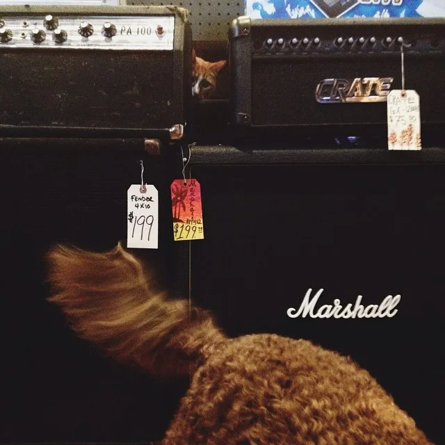 High Voltage Music Store