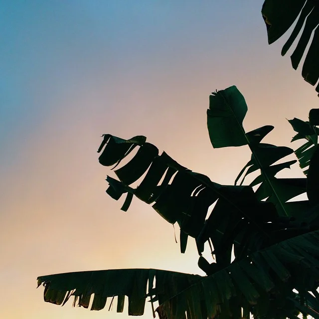 Hawaii
