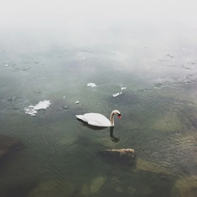 Toronto Islands