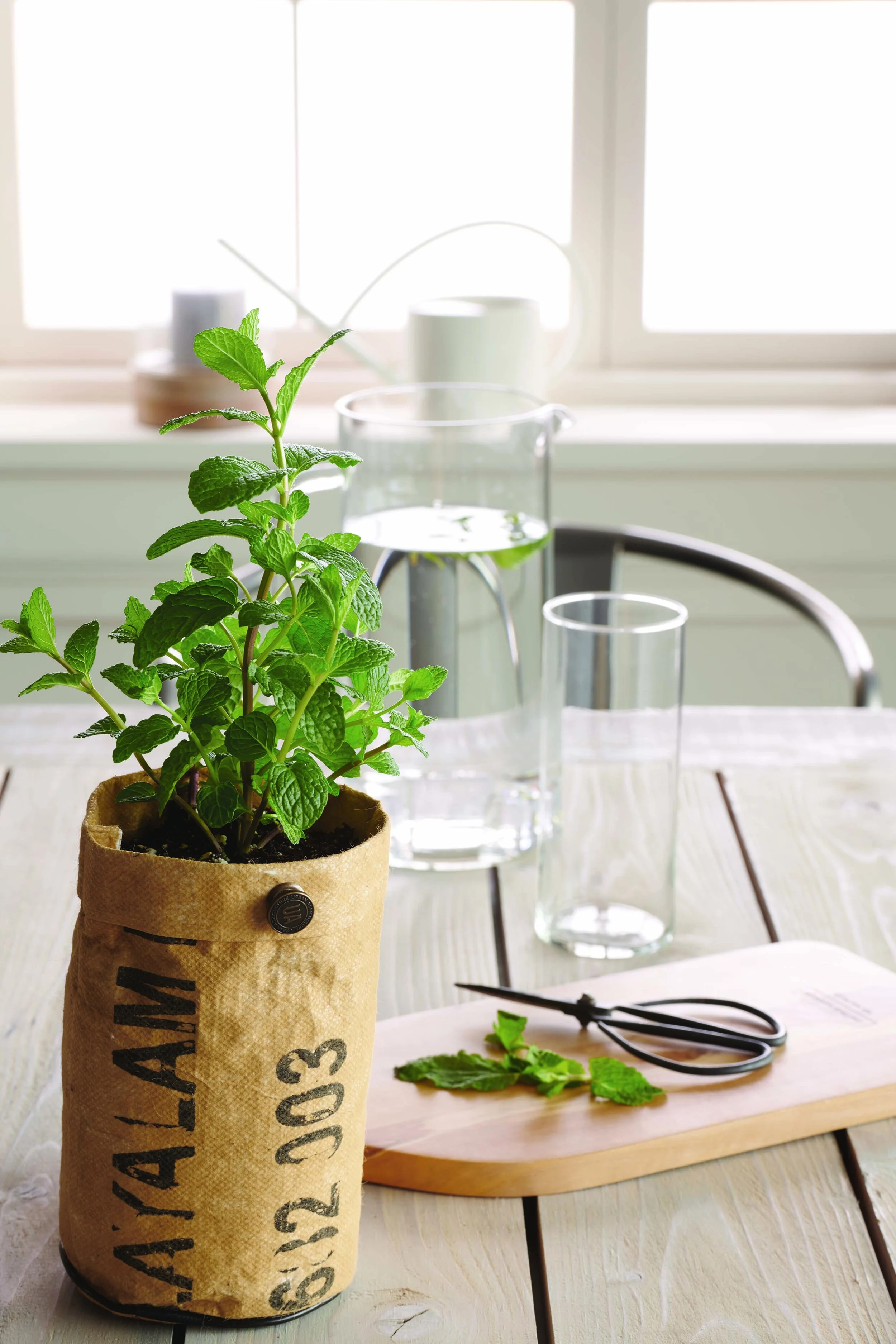 C-000692-01-118_065-01-0320_Grow Kit 1 (key gifting) Mint.jpg