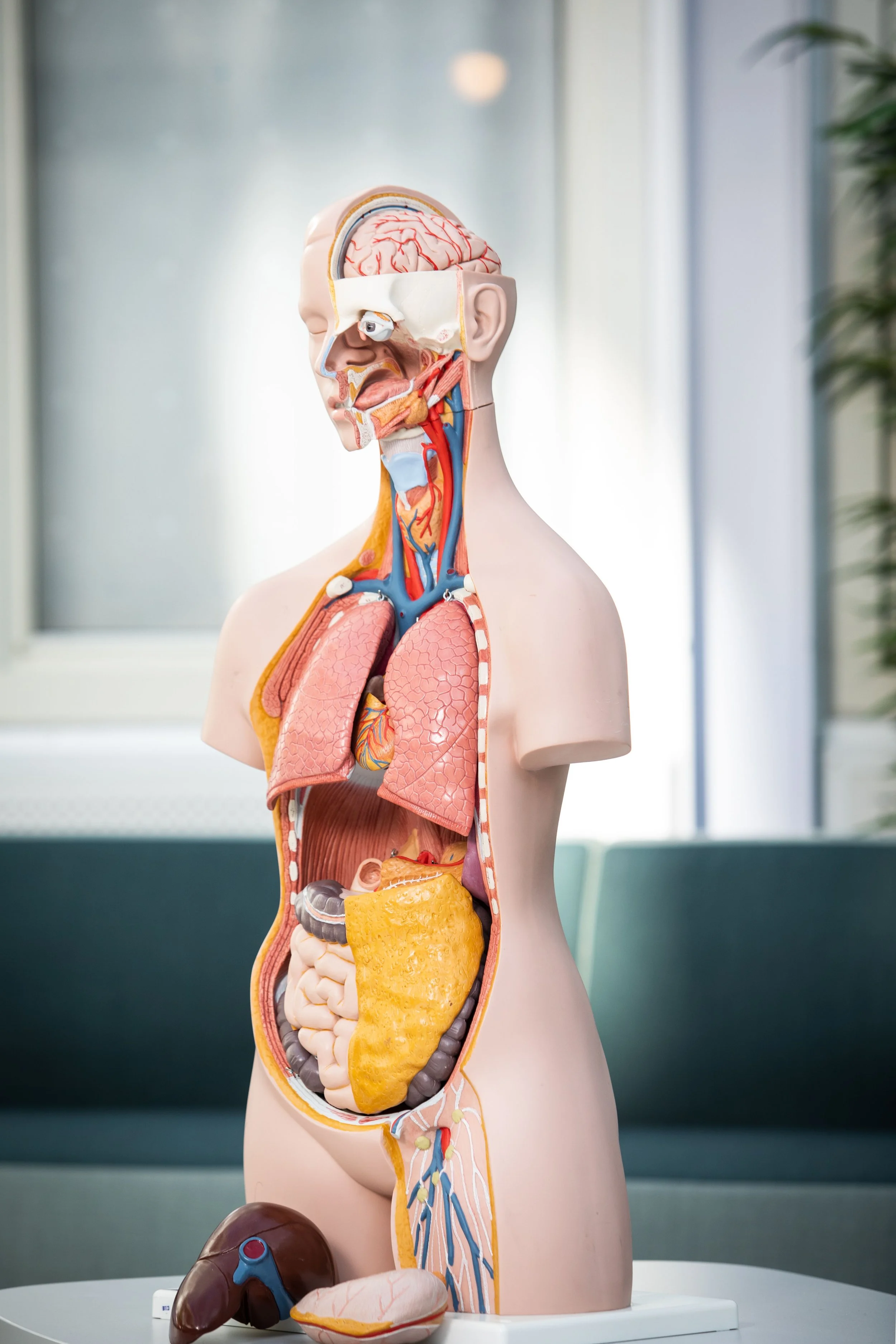 Universitetet i Oslo