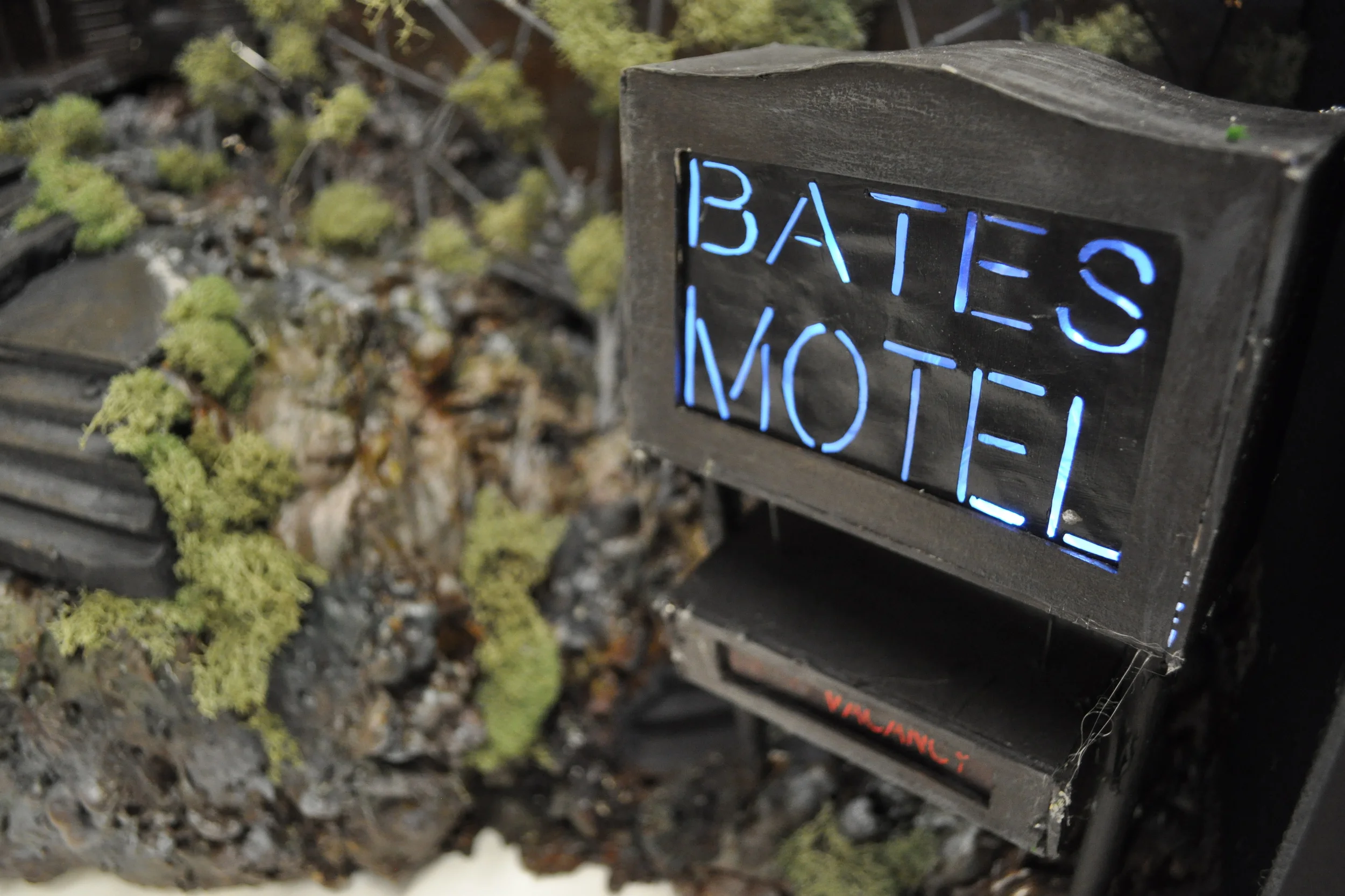   Psycho &nbsp;scale set, team co-captain and treasurer 