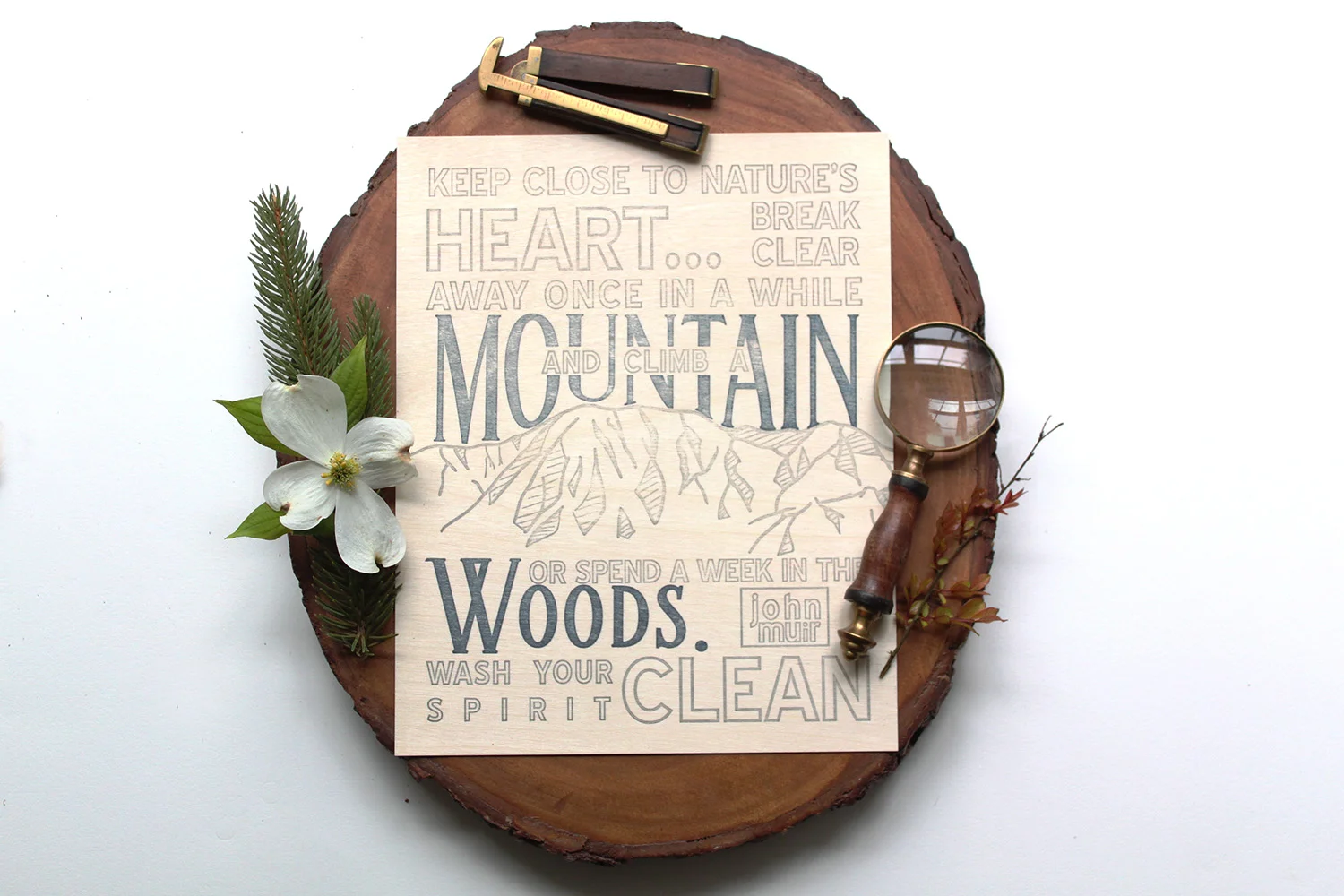 JohnMuir2.jpg