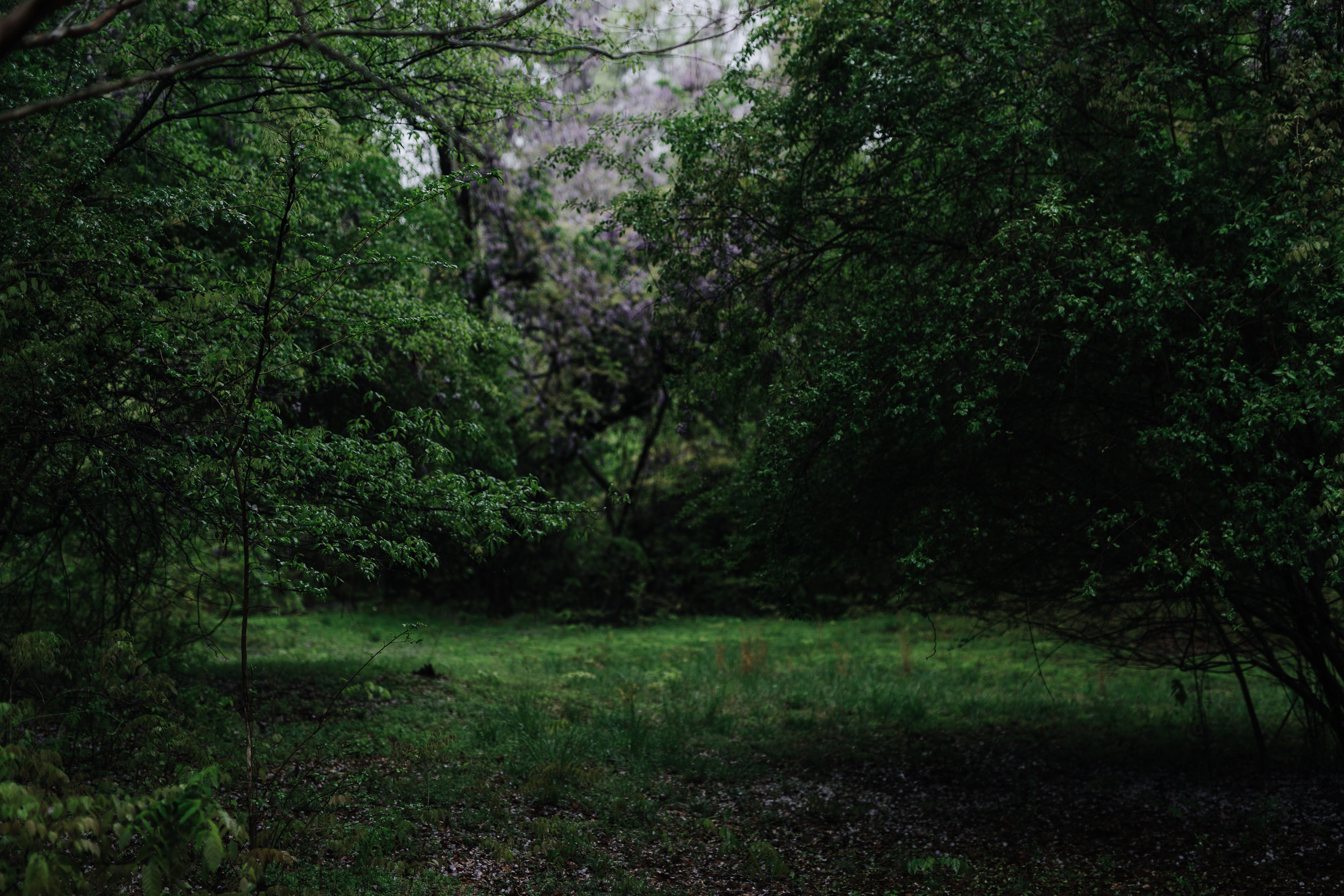 spring 2019-1431.jpg