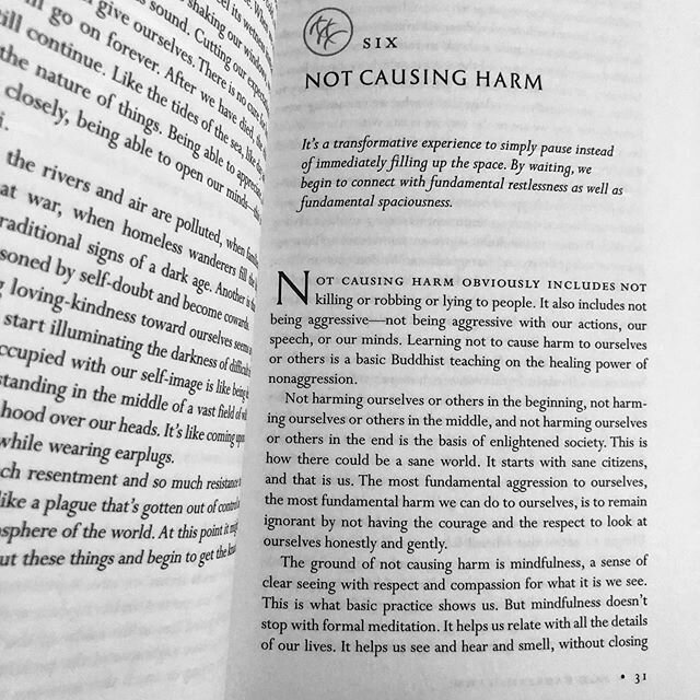 Not Causing Harm, Chapter 6, When Things Fall Apart by Pena Ch&ouml;dr&ouml;n. &ldquo;This is how there could be a sane world.&rdquo;