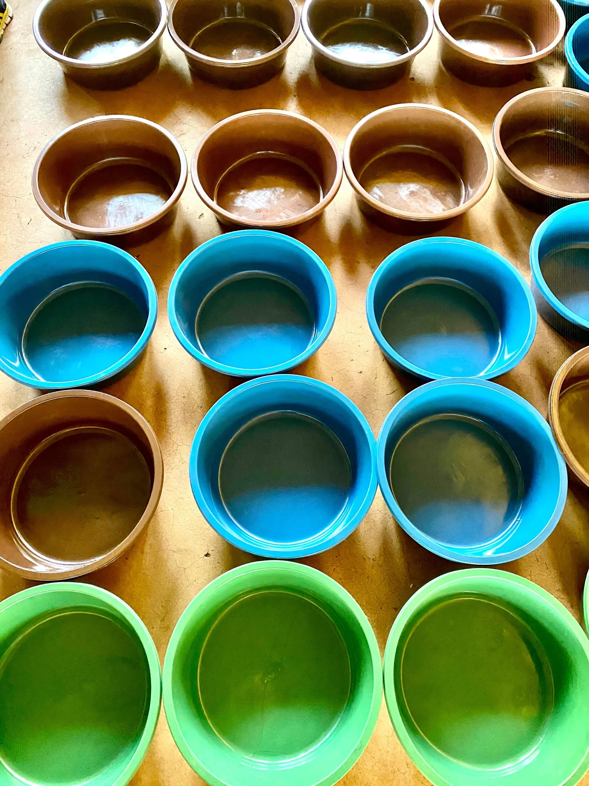 14FF8B33-F946-4D42-B355-8E99E9544C7E