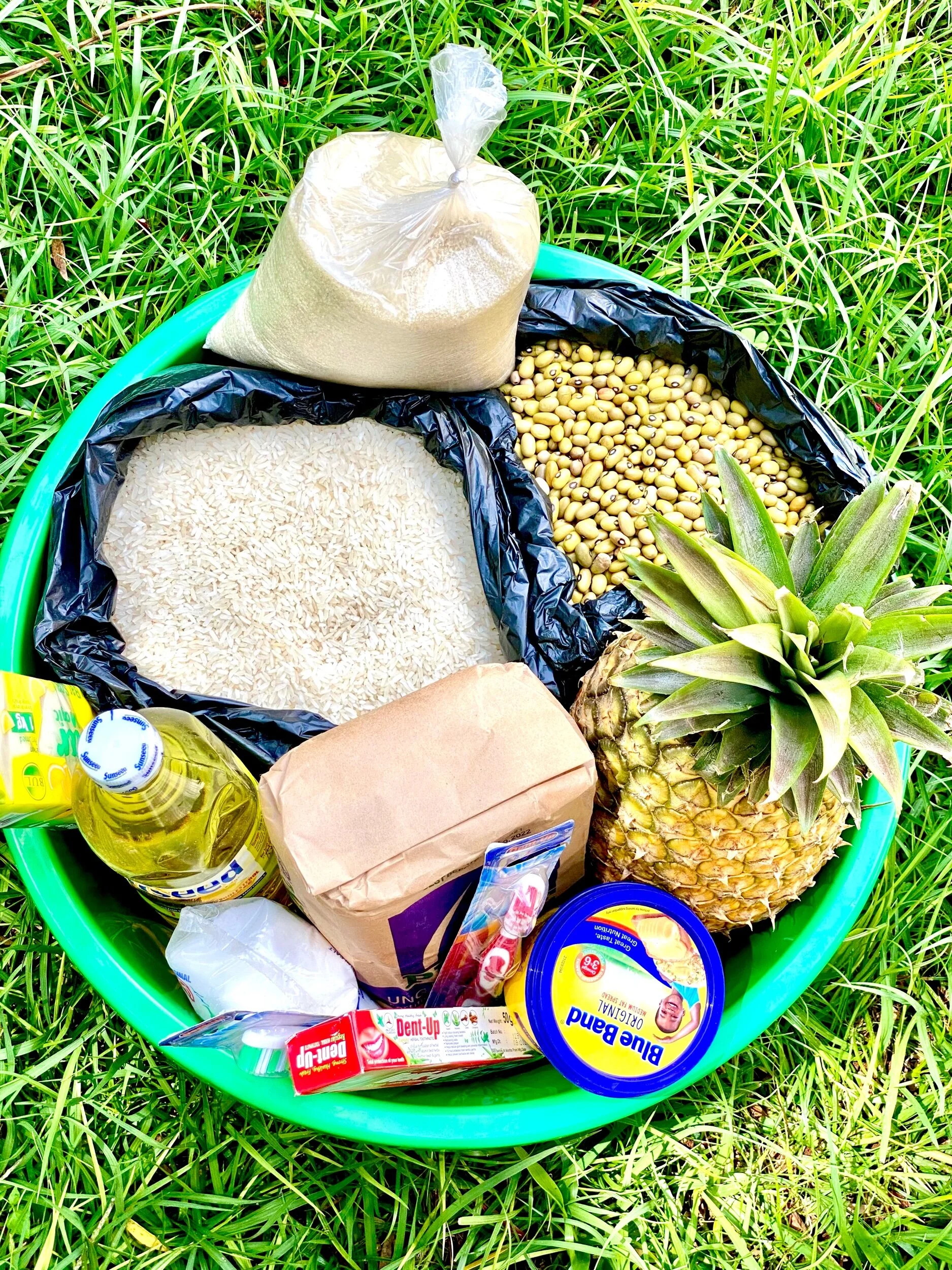 8DFF96E1-D131-4FDB-9FF6-AB4208A2576F