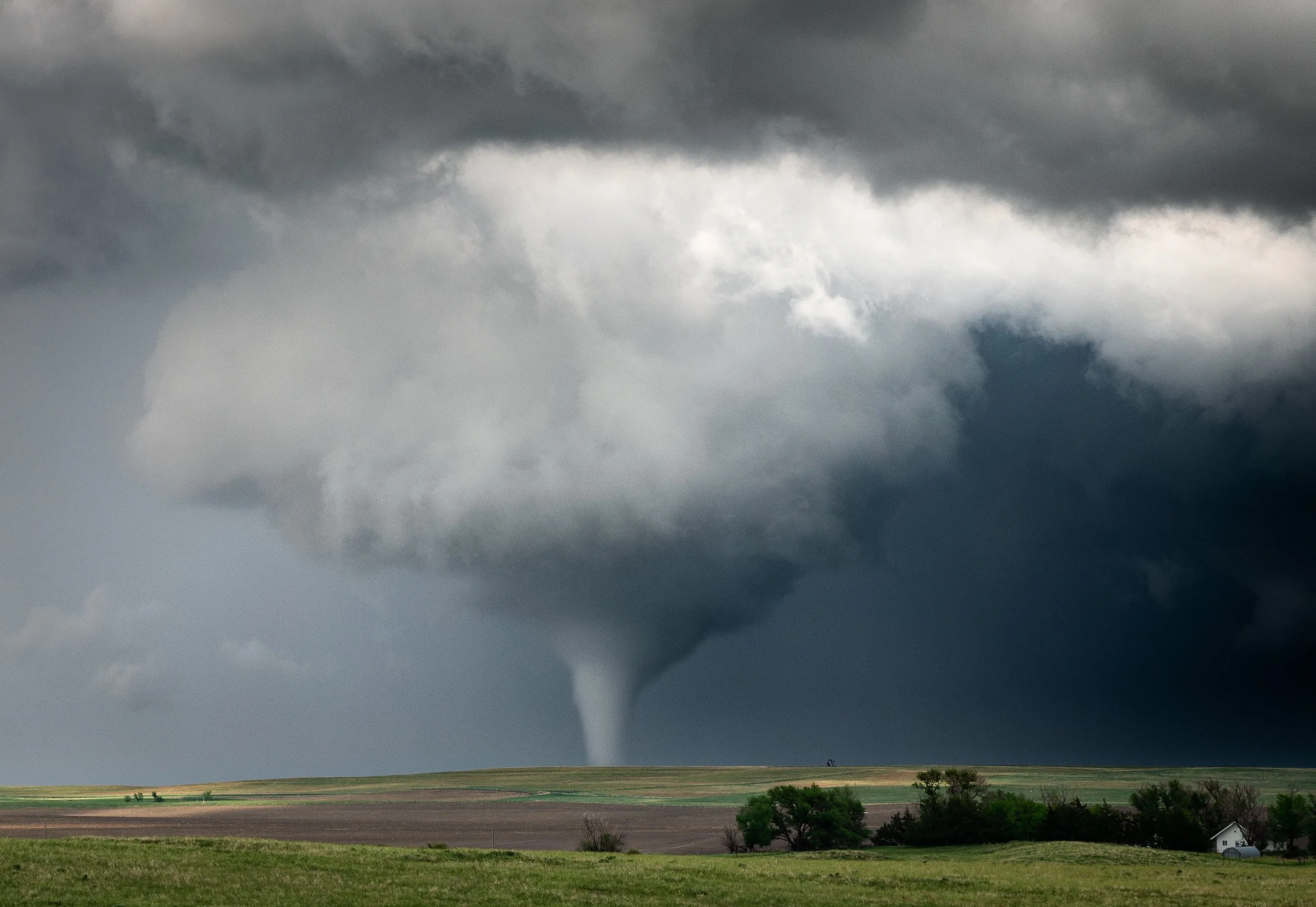 Tornadoes — Jennifer Walton