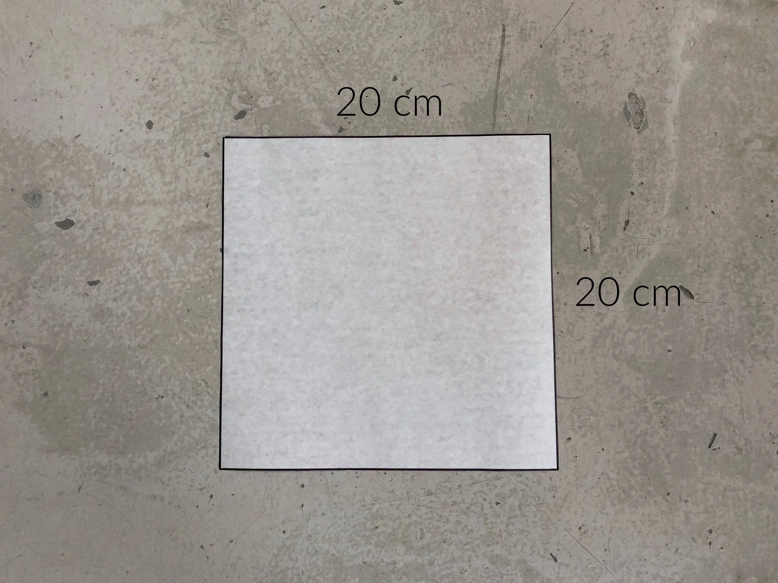 fullsizeoutput_32ca.jpg