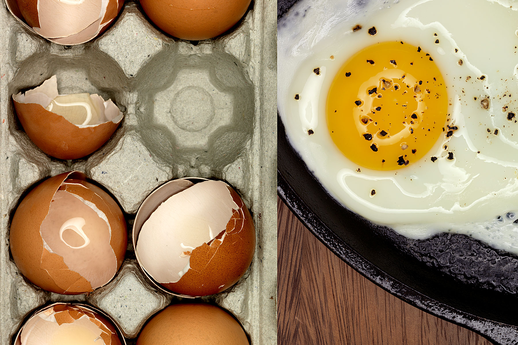 Egg and Shells CHROMA.jpg
