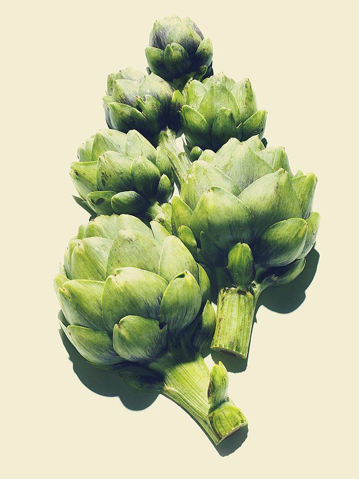 NEW.21artichoke.jpg