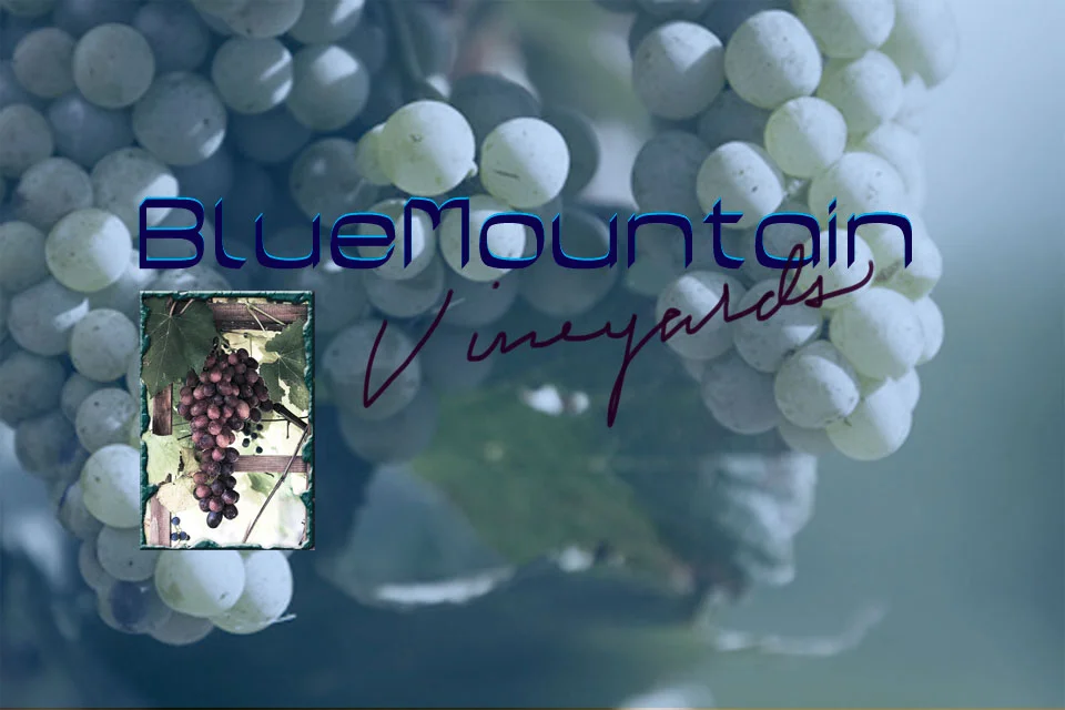 Winery Advertisement