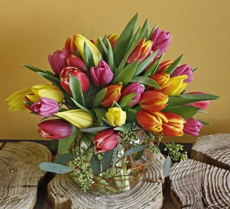 tulips.jpg