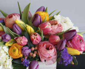 tulips 2.jpg