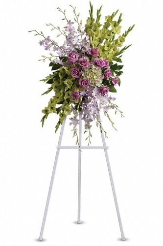 heavenly sentiments spray.jpg