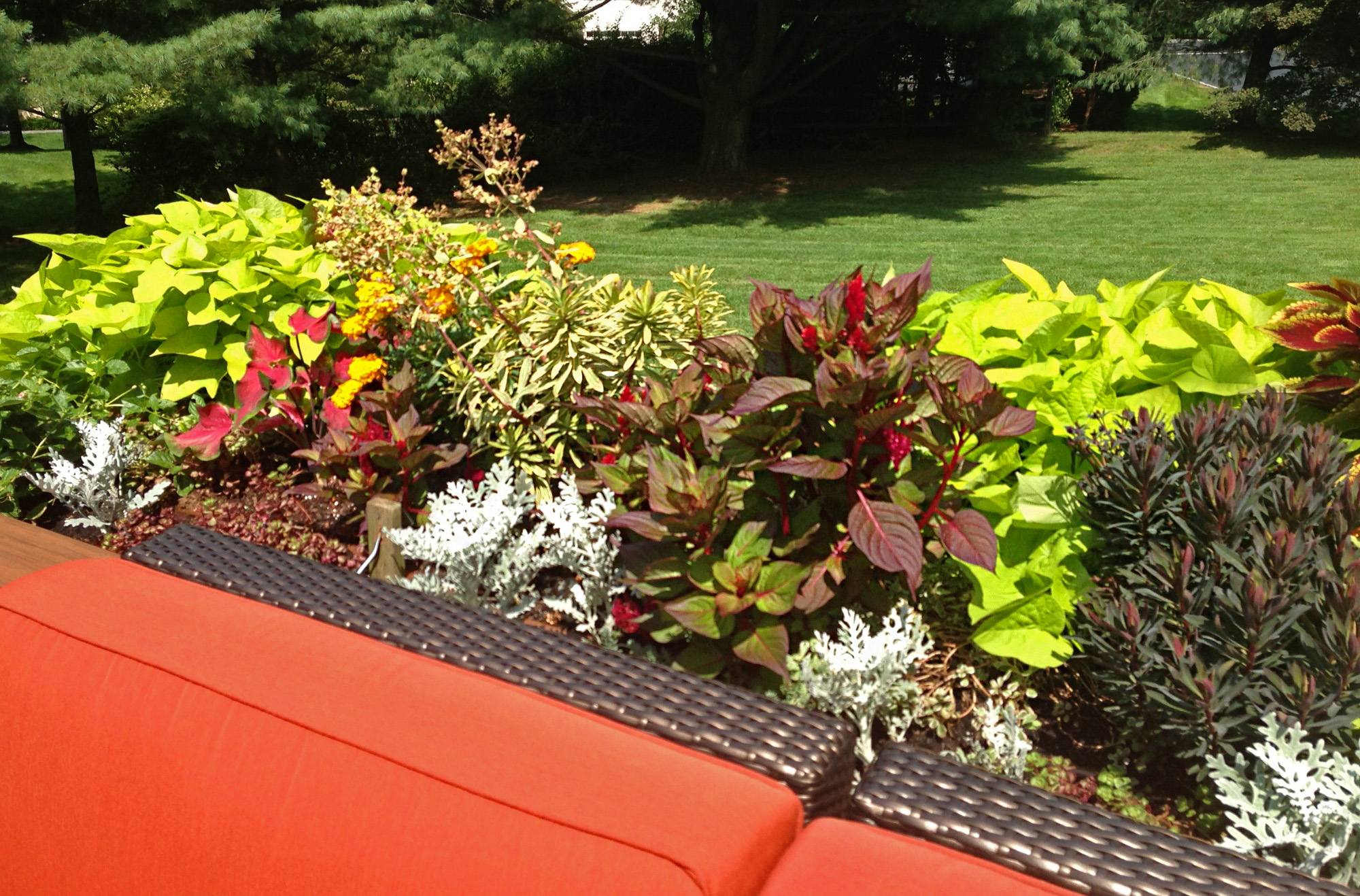 Planters_3.jpg
