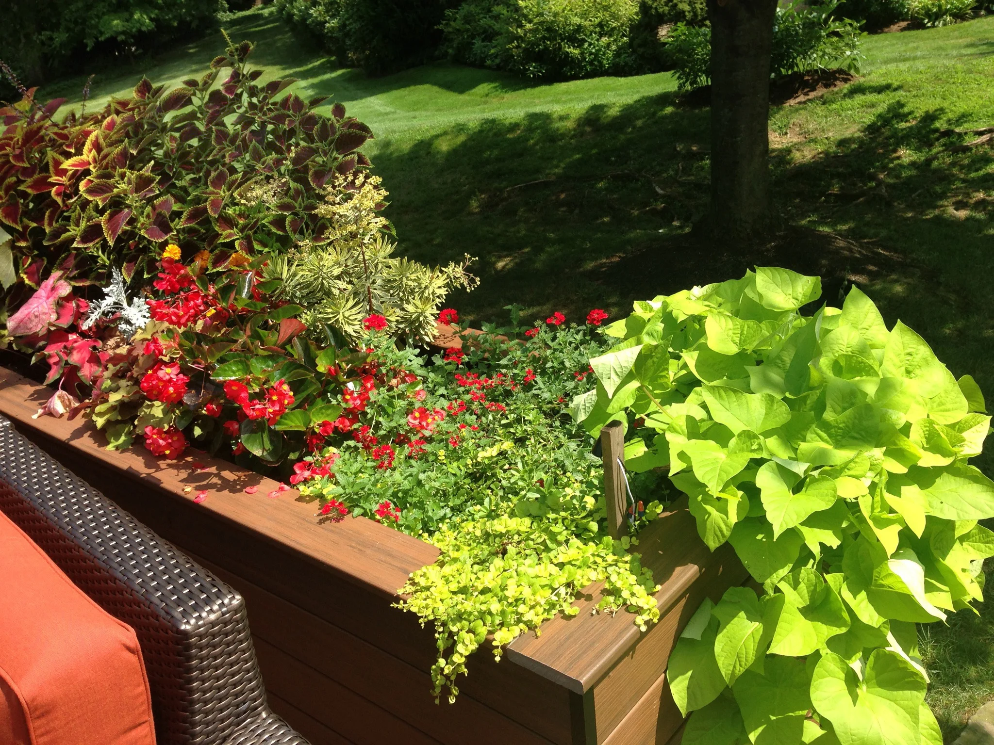 Planters_5.jpg