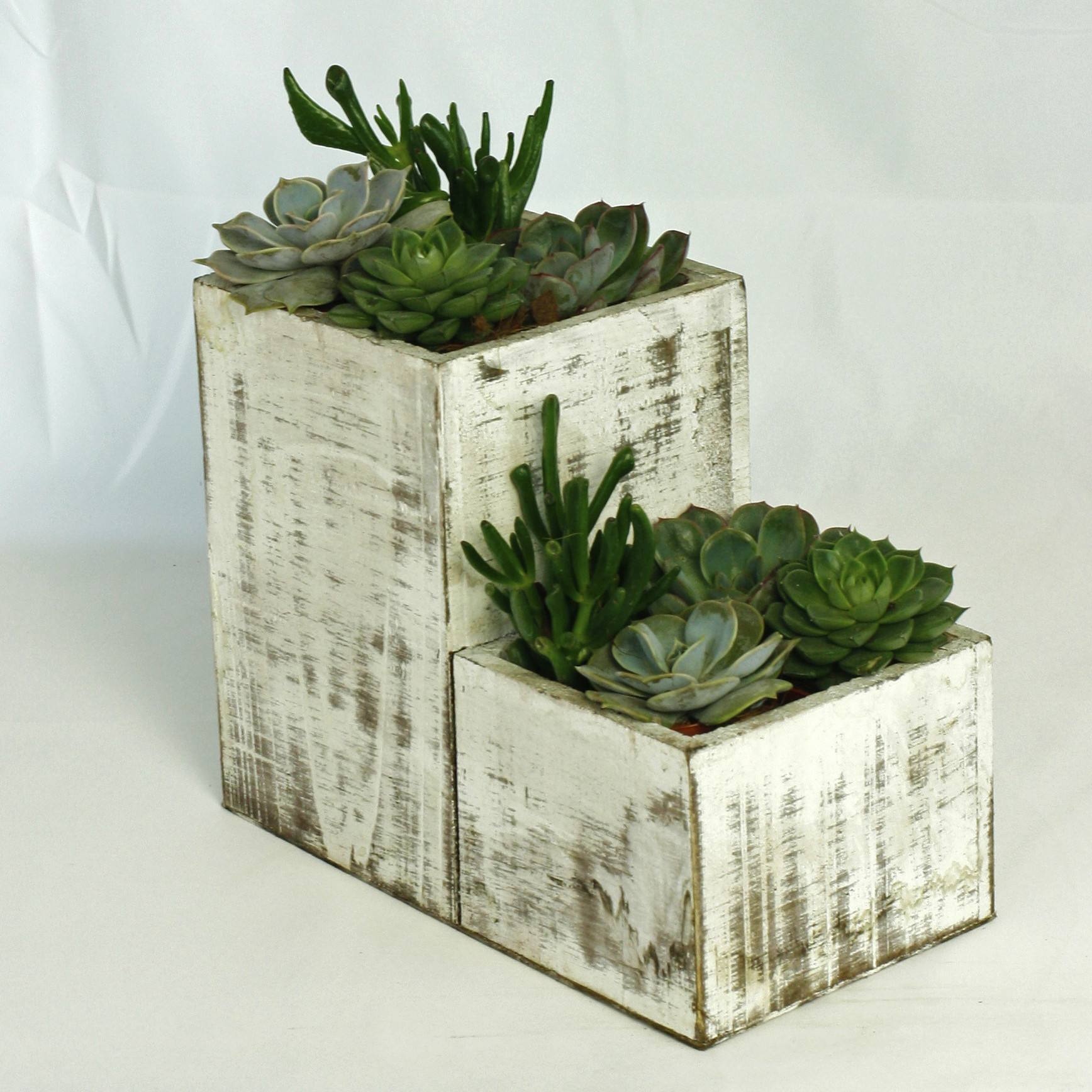 succulent towers.jpg