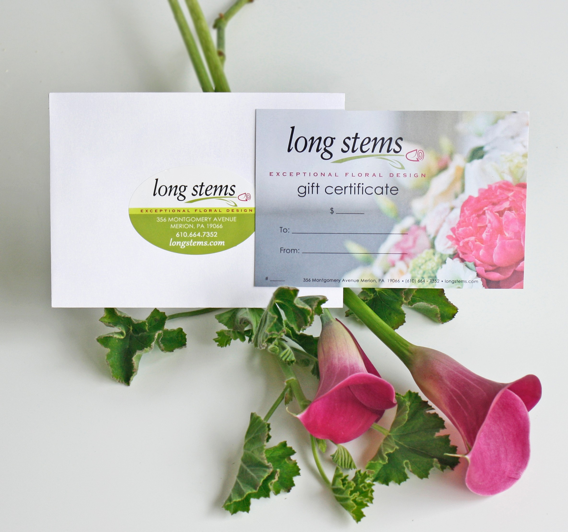 Gift Certificate.jpg