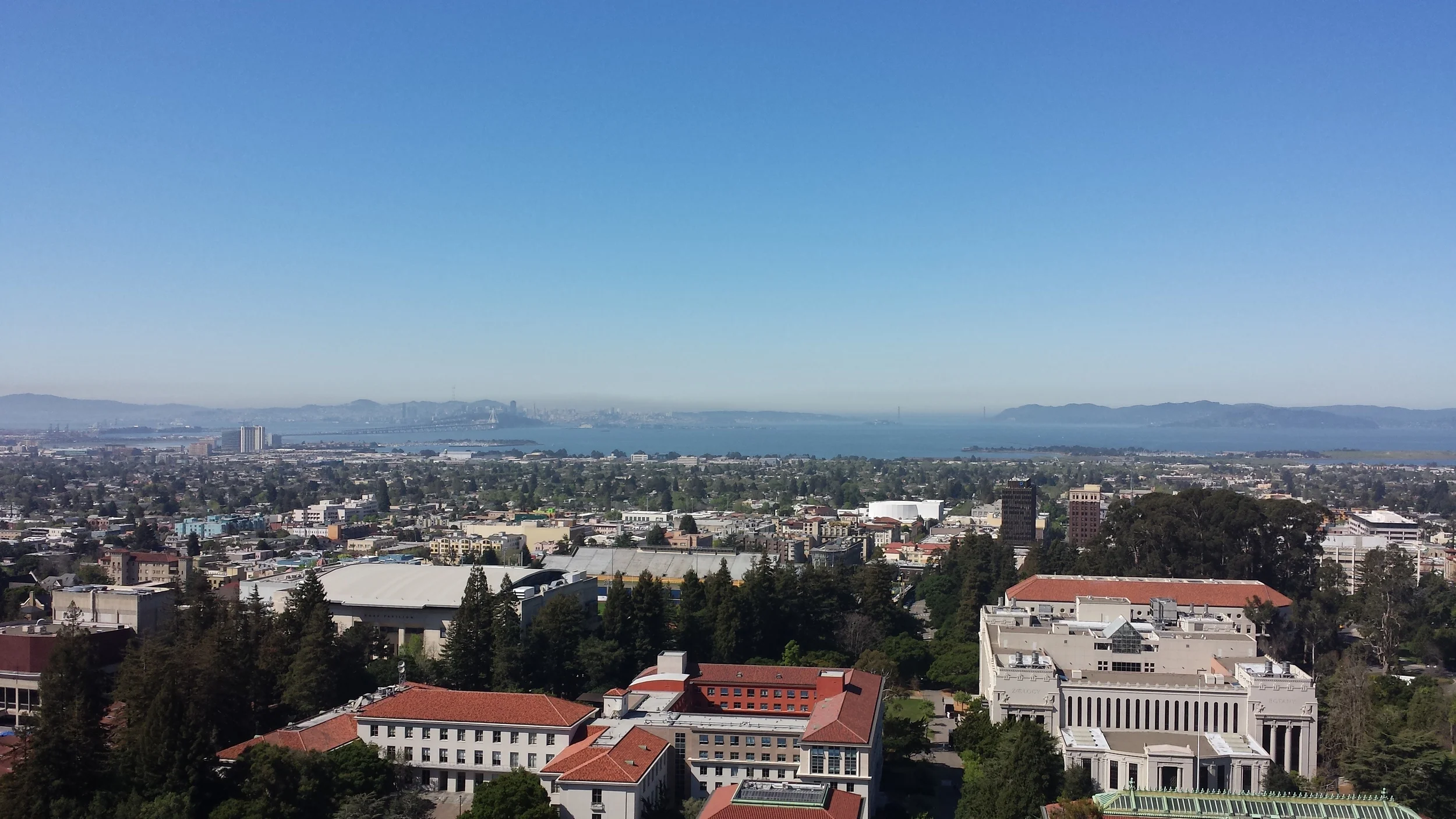 The view from the top of the Berkeley bell tower. If you squint into the fog you can even see the golden gate bridge.&nbsp;