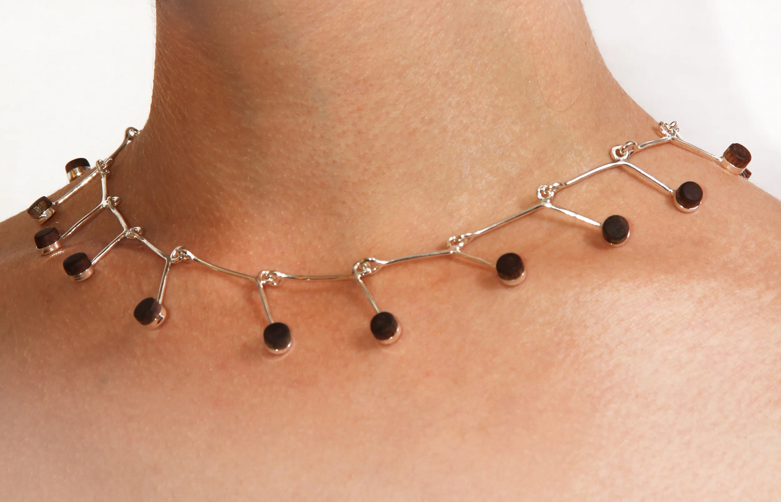 Plant Morphology - walnut strand on the body 